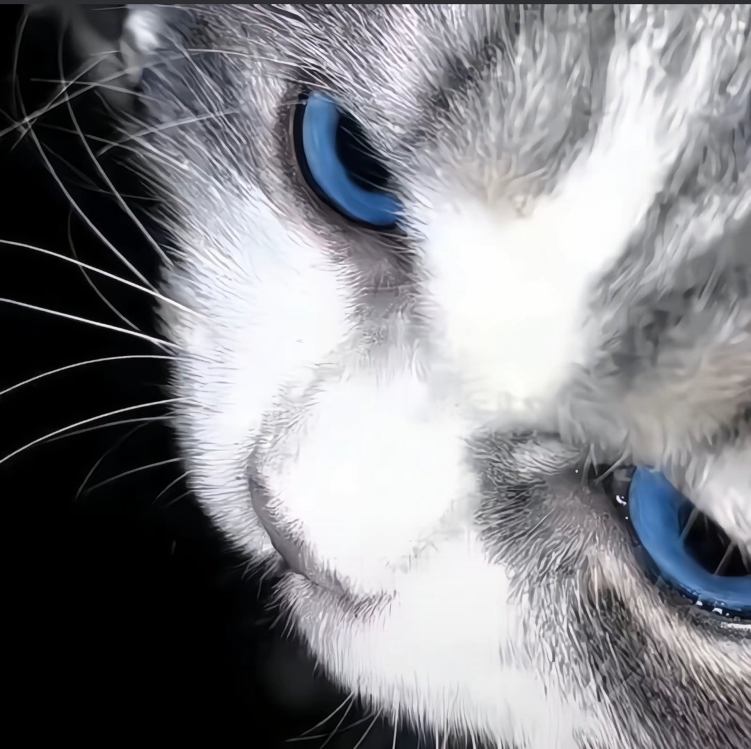 卫辉有无女高哇 犯瘾了