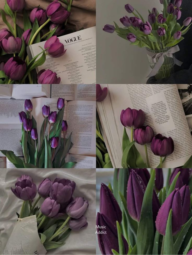 Purple tulips