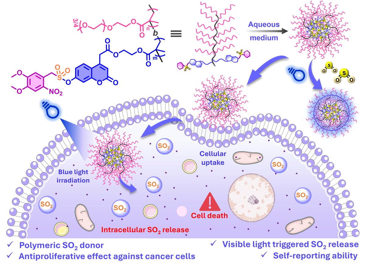 Anushree Mondal _āĻ
āύā§āĻļā§āϰ⧠(@anushre14054288) on Twitter photo Delighted to unveil our very first report on 'Visible-Light Triggered SOâ Releasing Polymeric Nanoassembly' in Small!! Thanks to all the coauthors Swastika, <a href="/Soumya20085/">Soumya Paul</a>, Prof. Arnab Gupta and Prof. Priyadarshi De <a href="/BIPOLOffic87794/">Priyadarsi De</a>. Dive into the details doi.org/10.1002/smll.2âĻ. Delighted to unveil our very first report on 'Visible-Light Triggered SOâ Releasing Polymeric Nanoassembly' in Small!! Thanks to all the coauthors Swastika, <a href="/Soumya20085/">Soumya Paul</a>, Prof. Arnab Gupta and Prof. Priyadarshi De <a href="/BIPOLOffic87794/">Priyadarsi De</a>. Dive into the details doi.org/10.1002/smll.2âĻ.