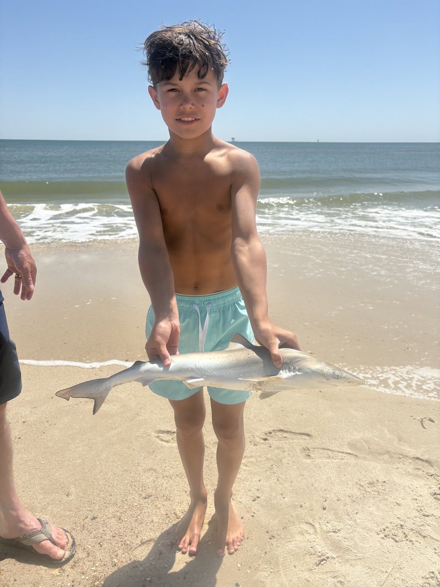 CoachVBerg's tweet photo. Cross that off Max’s list. A pompano double and a shark! #purefishing https://t.co/Ei22Sw8ufg