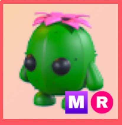 Day 9 of 3 weeks of gws!
mr cactus friend
Guys my flight to Montenegro got delayed 💔
(Use my mm services)
To join you must:
Follow me (<a href="/annikahahx/">jay 🐟🤠(pls use my mm services)</a>)
Follow <a href="/coconutshell04/">mi ⭐️🖇️🪼👅</a> 
rt
Like
Reply with ur fav dessert pet