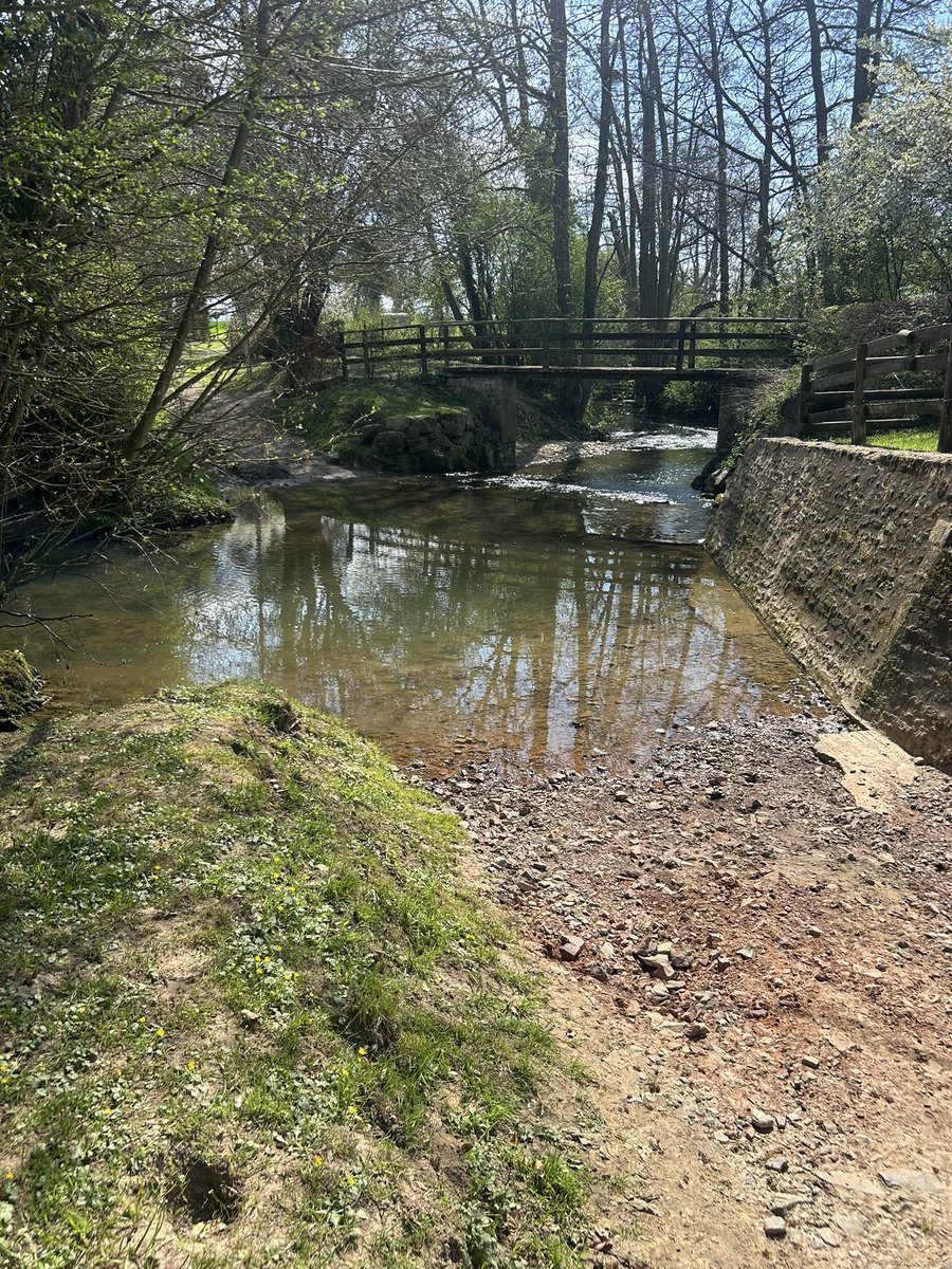 The_History_Ex's tweet photo. Can an expert tell me what type of bones I found at Moissy Ford today in the Falaise Gap?

I’m assuming horse bones given the hundreds which died around the crossing as the Germans escaped East. 
#twitterstorians #history #military #ww2 https://t.co/NCXRqIDcEn