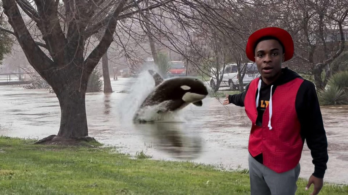 live look at louisville’s floods rn