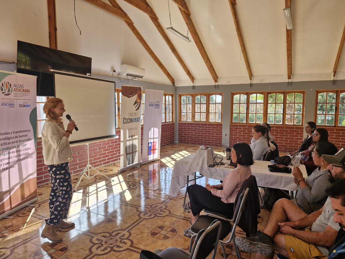 CocinamarChile's tweet photo. Lanzamiento programa #PDT #AlgasAtacama de @CorfoAtacama 
Más de 50 autoridades,actores locales, emprendedores y emprendedoras motivados con las algas locales 🌱🌱🌱 #Caldera https://t.co/LoefW5e4g0