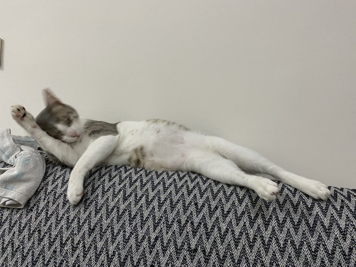 Kanemede usanırken Cimen suv izniyorudum