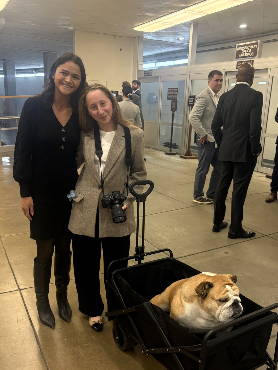 kaylasfink's tweet photo. old &amp; new friends! 🐾👯‍♀️ @KatieWadman @BabydogJustice https://t.co/l4Rwem2WBs