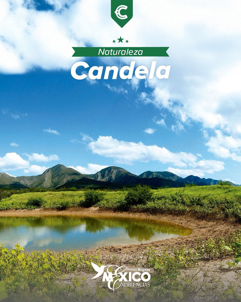 Coahuila's tweet photo. ¡Coahuila sigue sorprendiendo! 😍 Nuestros 8 Pueblos Mágicos y Saltillo están nominados a los Premios Mágicos Excelencias 2025, ¡Ayúdanos con tu voto! 🙌

🔗 Vota aquí: https://t.co/d0Je2f608Q

#EnCoahuilaHayPlan #CoahuilaPaDelante #APasosDeGigante #SorpréndeteConCoahuila https://t.co/9xtoFpwVCs