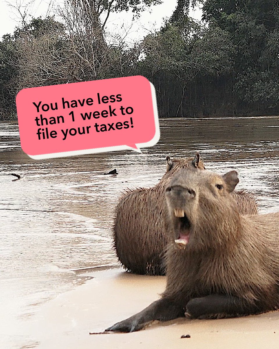 Let us translate 🗣️: YOU HAVE LESS THAN 1 WEEK LEFT TO FILE YOUR TAXES! File with TurboTax today. 
intuit.me/3EfavMX