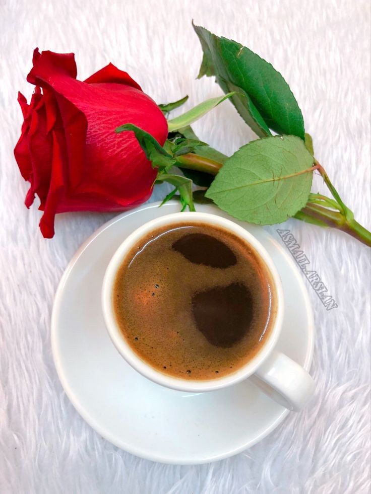 الرجال يقولون أُحبّكِ كما يقول السّجناء نحن أبرياء، فاشرَبي قهوتكِ يا جميلة ولا تأخُذي أحدًا على محمل الجد .