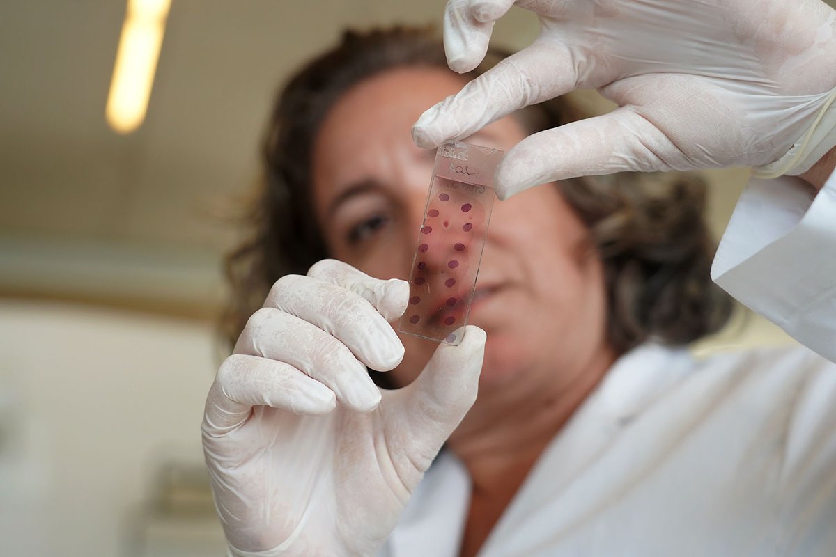 🫄Muchas mujeres que padecen obesidad tienen dificultades para quedar embarazadas. Los avances en fertilización asistida mejoraron las probabilidades de que puedan tener su bebé. Pero, para la criatura subsiste el riesgo de padecer las mismas alteraciones metabólicas de su mamá.