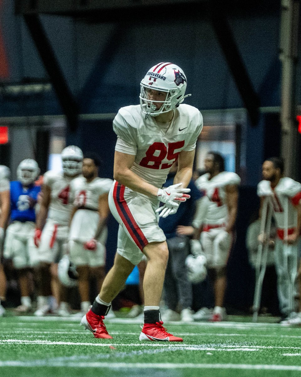 StonyBrookFB's tweet photo. Don’t worry, Dylan’s here 😳

🌊🐺 x #As1 x @dylan_i7 https://t.co/rHRCz3Dhnb