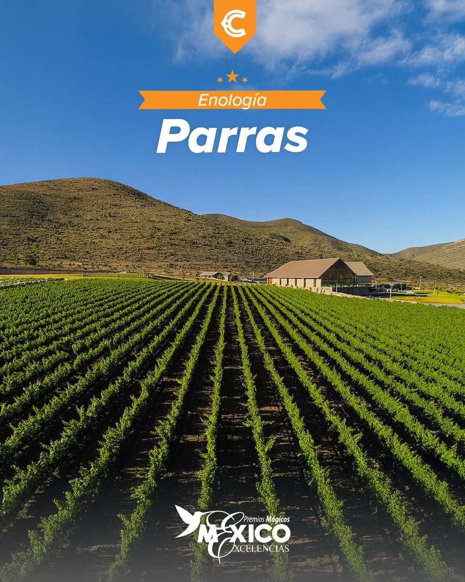 Coahuila's tweet photo. https://t.co/aaZ1Ccce9c