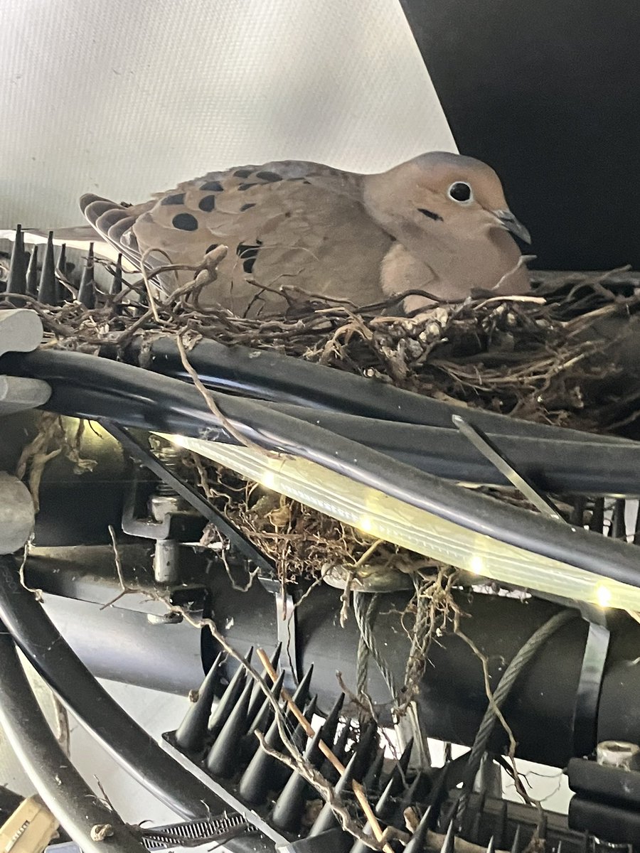 Nate Hurst tweet media