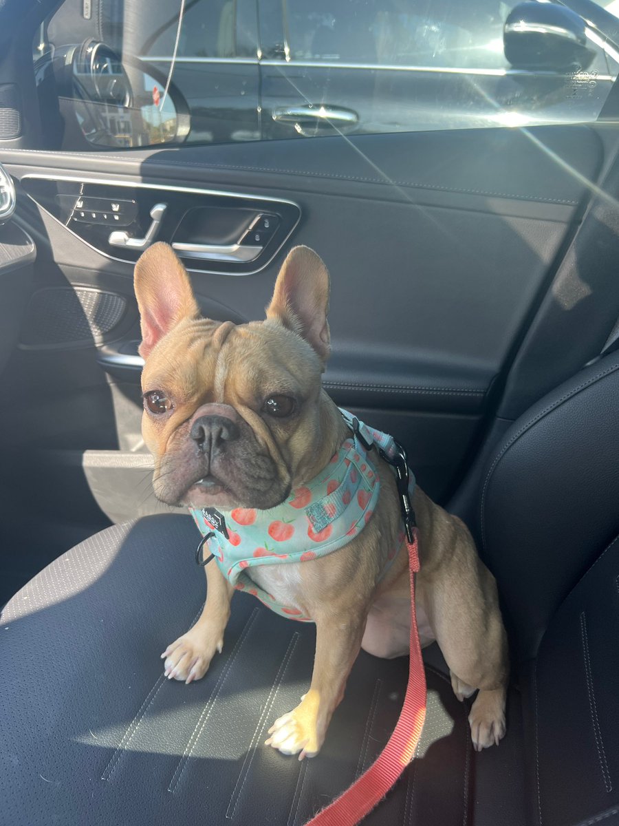 Staring at resistance, waiting for the breakout.

#alwaysbullish