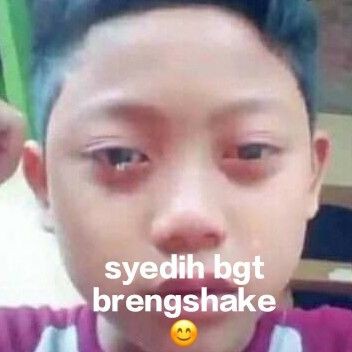 maltesematt's tweet photo. MISSING U SOMUXJ BYBY 😭😭😭😭😭😭😭😭😭 https://t.co/bI2IZEvzvQ
