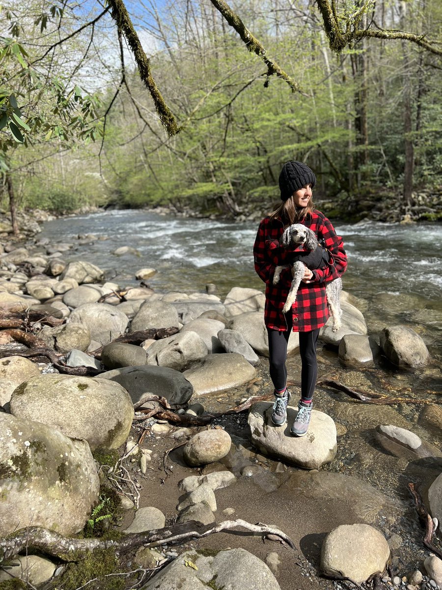 dementdw's tweet photo. @GreatSmokyMountains #KeepingWarm https://t.co/4YqKs1QB5h