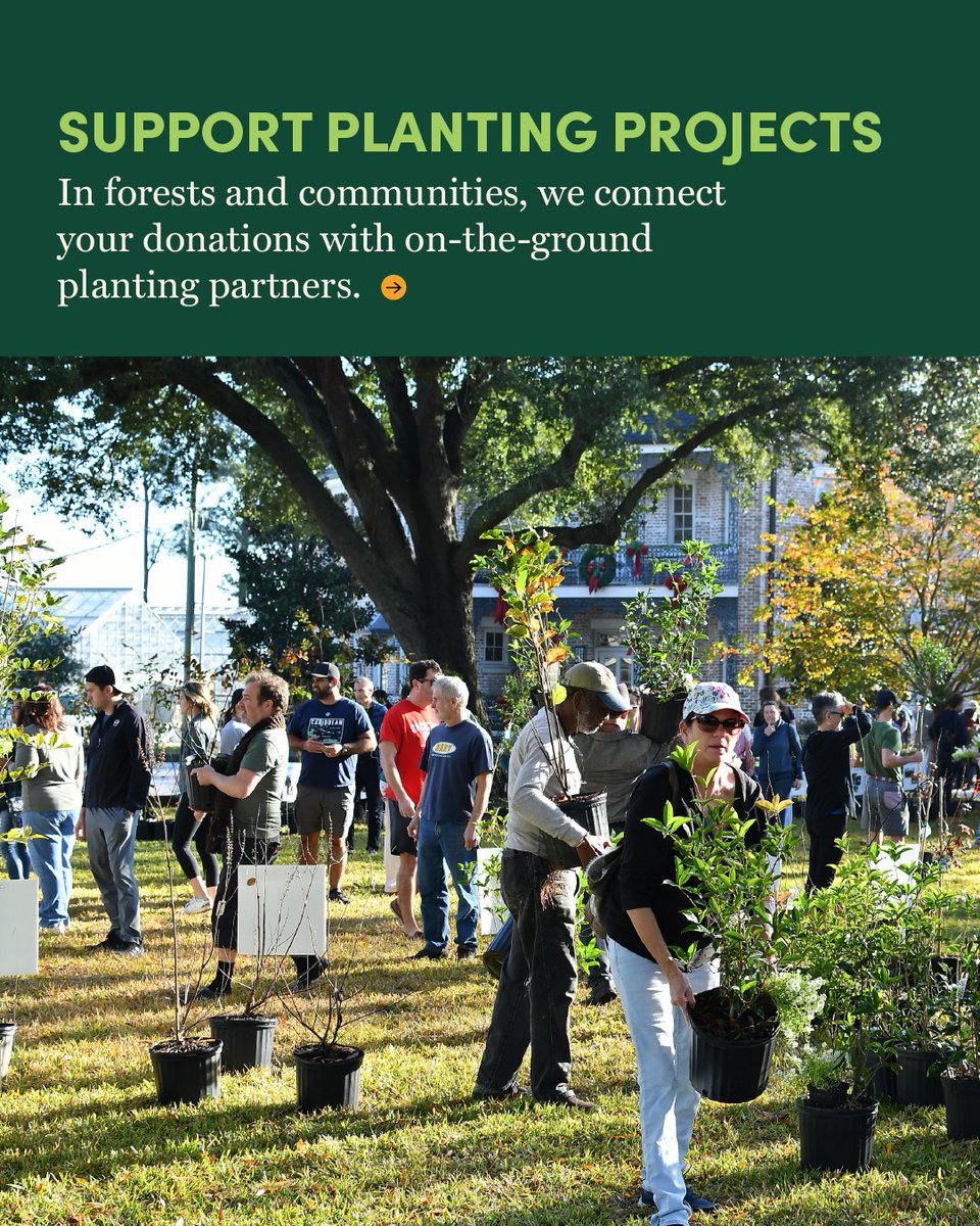 arborday's tweet photo. It’s Arbor Day season, and the world needs trees more than ever. The good news is, we can all join the greater good. Whether with affordable access to trees from our nursery or supporting large-scale reforestation projects, we make it possible for everyone to be a tree planter.

Whether with shovels or support, choose how you’ll plant trees this Arbor Day season, then join us to get started.