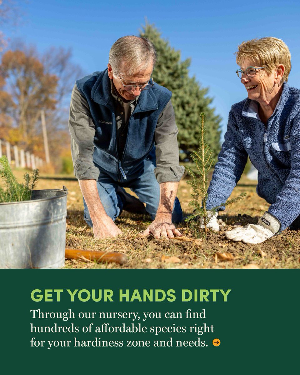 arborday's tweet photo. It’s Arbor Day season, and the world needs trees more than ever. The good news is, we can all join the greater good. Whether with affordable access to trees from our nursery or supporting large-scale reforestation projects, we make it possible for everyone to be a tree planter.

Whether with shovels or support, choose how you’ll plant trees this Arbor Day season, then join us to get started.