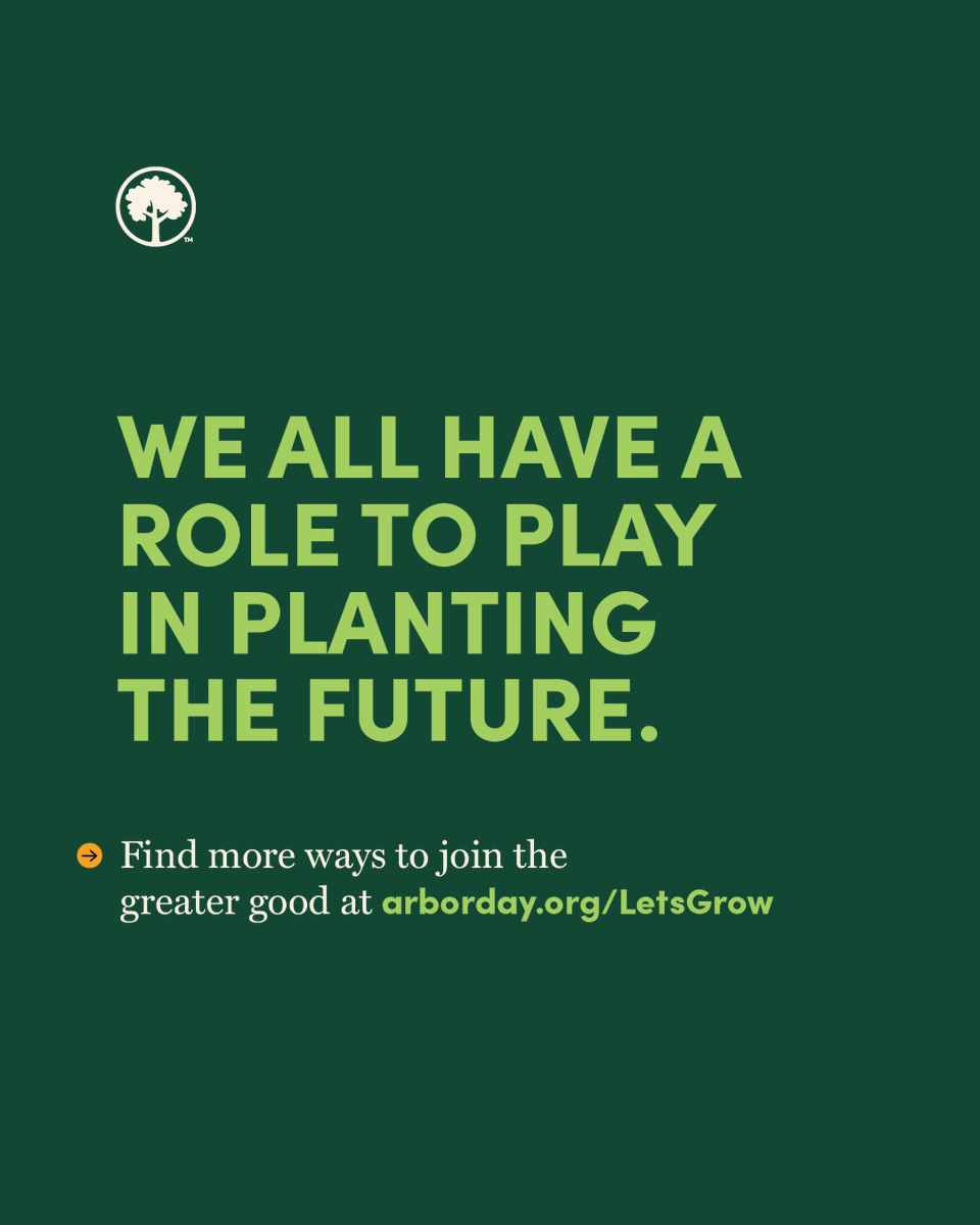 arborday's tweet photo. It’s Arbor Day season, and the world needs trees more than ever. The good news is, we can all join the greater good. Whether with affordable access to trees from our nursery or supporting large-scale reforestation projects, we make it possible for everyone to be a tree planter.

Whether with shovels or support, choose how you’ll plant trees this Arbor Day season, then join us to get started.