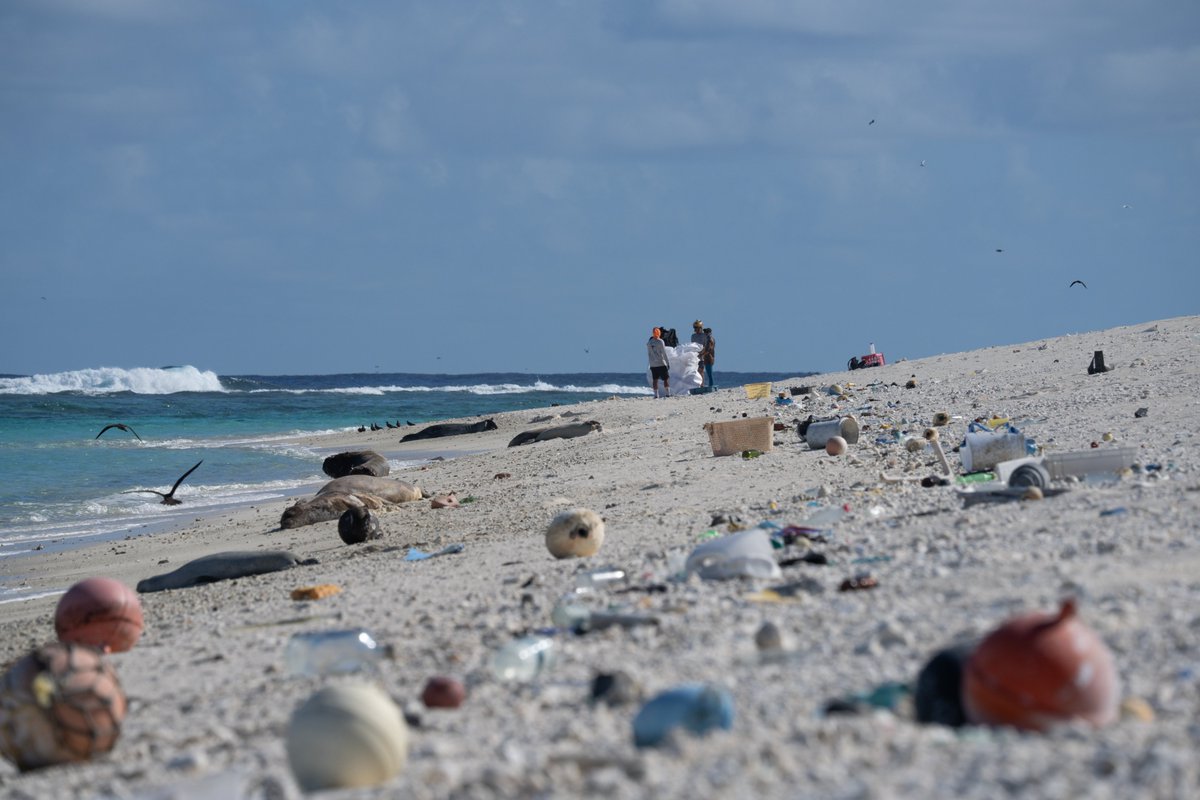 NOAA Marine Debris Program (@noaadebris) on Twitter photo Plastic items are common in our lives and also a common type of marine debris in our ocean, waterways, and Great Lakes. What is plastic? How does it enter the environment? Why is it a problem? Find out here: marinedebris.noaa.gov/what-marine-de⦠Photo Credit: <a href="/pmdphawaii/">PapahÄnaumokuÄkea Marine Debris Project</a> Plastic items are common in our lives and also a common type of marine debris in our ocean, waterways, and Great Lakes. What is plastic? How does it enter the environment? Why is it a problem? Find out here: marinedebris.noaa.gov/what-marine-de⦠Photo Credit: <a href="/pmdphawaii/">PapahÄnaumokuÄkea Marine Debris Project</a>