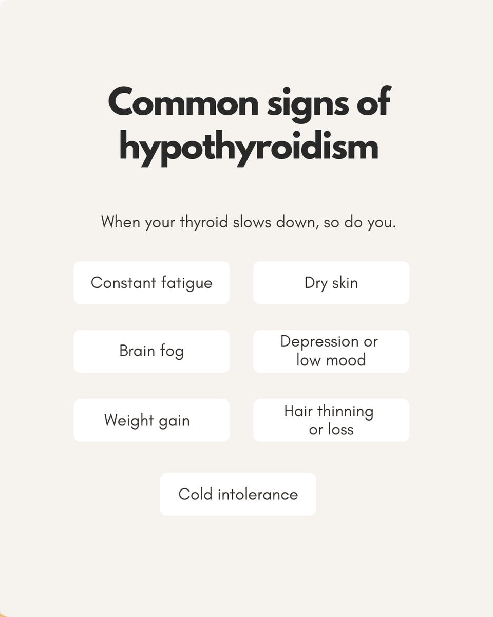 ennulife's tweet photo. Low energy, weight changes, mood swings, and brain fog can all be signs that your thyroid needs some support. 

Swipe through to learn more about how your thyroid impacts your overall wellness!

Click the link in our bio or call us at 866-420-9260 to start today! https://t.co/leVqqCkNk1