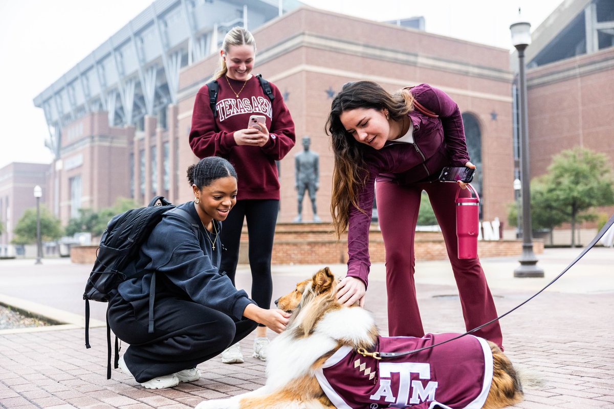 reveille's tweet image. Checking in with my Aggies before Finals! How are you all doing??
