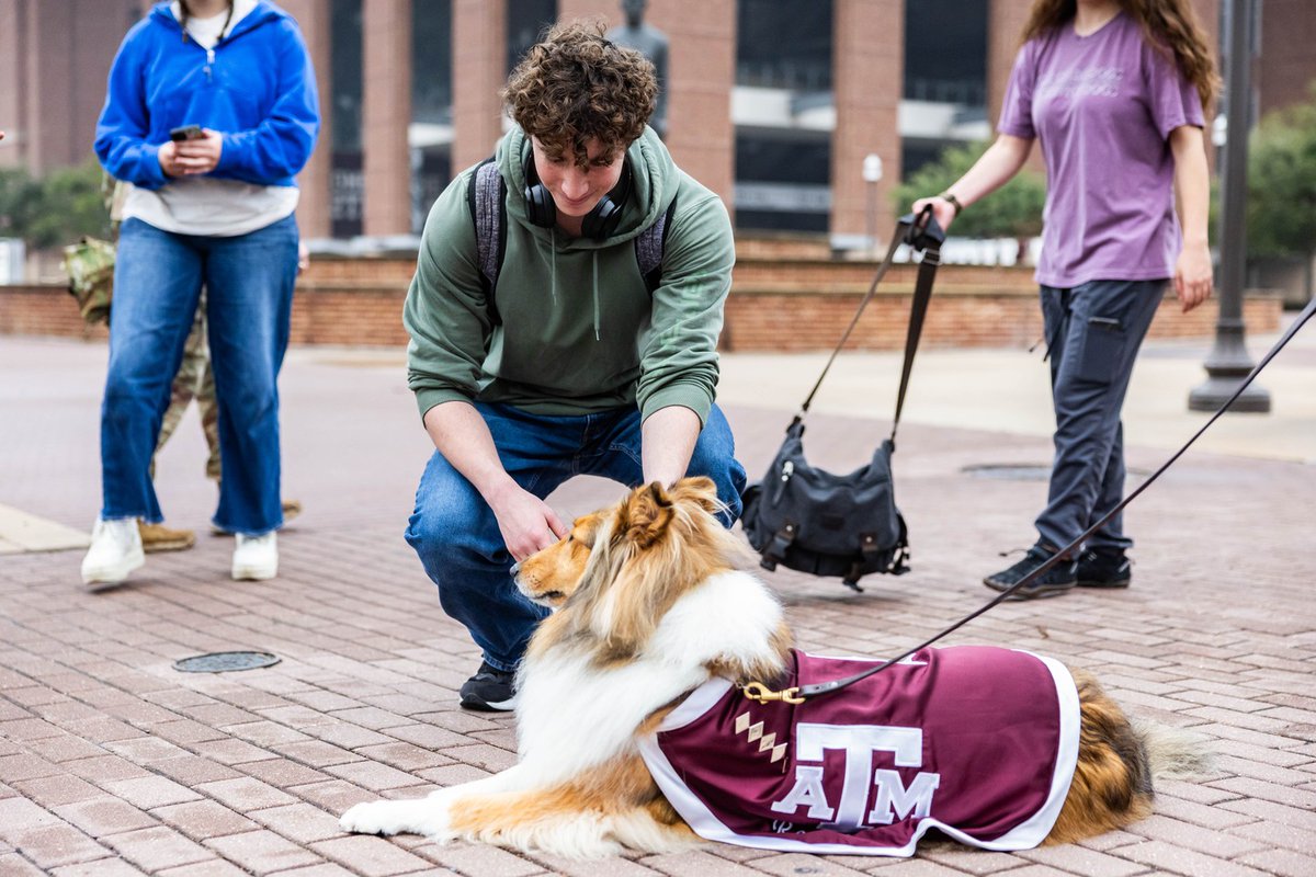 reveille's tweet image. Checking in with my Aggies before Finals! How are you all doing??