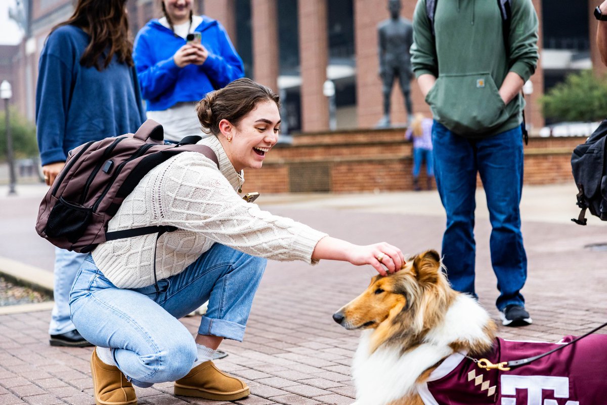 reveille's tweet image. Checking in with my Aggies before Finals! How are you all doing??