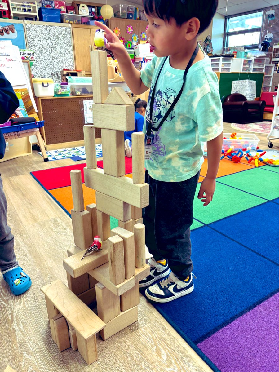 MrsAlexSmitty's tweet photo. This week is all about our feathered friends! We’re diving into the world of birds with hands-on, engaging centers that spark curiosity and creativity. From bird-watching to nest-building, our little learners are soaring to new heights! #risdbetheone #risdprek @canyoncreekrisd https://t.co/vX75Trs0yZ