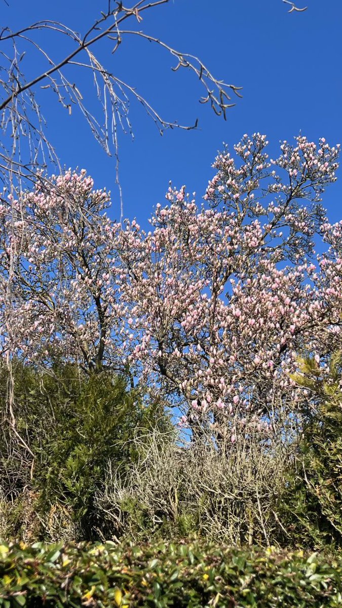 cgrimonprez's tweet photo. #Bible Jn8,31 «Si vous demeurez fidèles à ma parole, vous êtes vraiment mes disciples ; alors vous connaîtrez la vérité, et la vérité vous rendra libres. » Cherchons à 
être fidèles à la parole de Celui qui est la Vérité, dans une société où la vérité est souvent jugée dépassée. https://t.co/yaDlXnuTt2