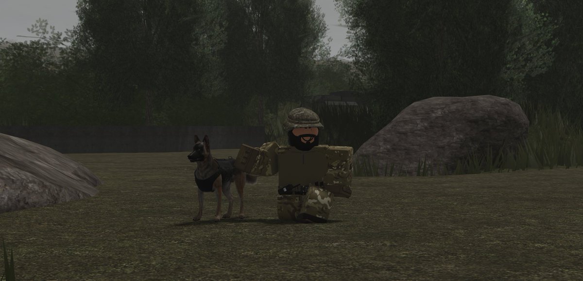 Tonight, the Chief of the General Staff met with Flying Officer JoeLydford. Joe practiced a lot of his tricks and was awarded with a bunch of treats!!