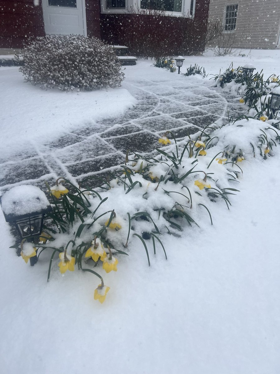 24 hours apart😳 I thought it was Spring?! <a href="/MikeBrookins/">Mike Brookins 🏊‍♂️🚴‍♂️🏃‍♂️</a>