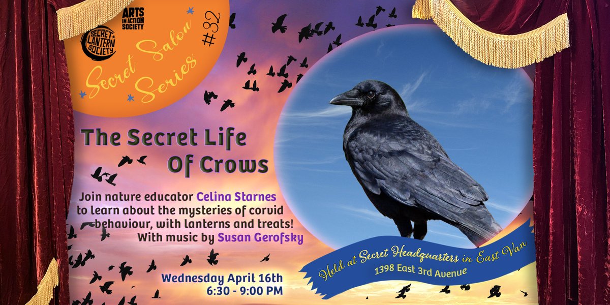 Ever wondered what the crows flying above are thinking? 🐦 Join bird expert Celina Starnes for a night of crow facts, folklore &amp; a twilight walk! Featuring live accordion, tea, treats &amp; surprises. 🧡

🎟️ Tickets: Link in bio
#CrowFacts #VancouverEvents #UrbanWildlife
