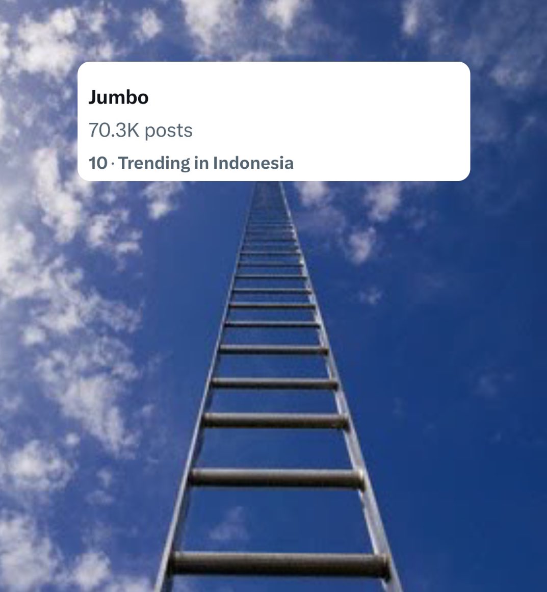 JUMBO! ⭐️ tweet media