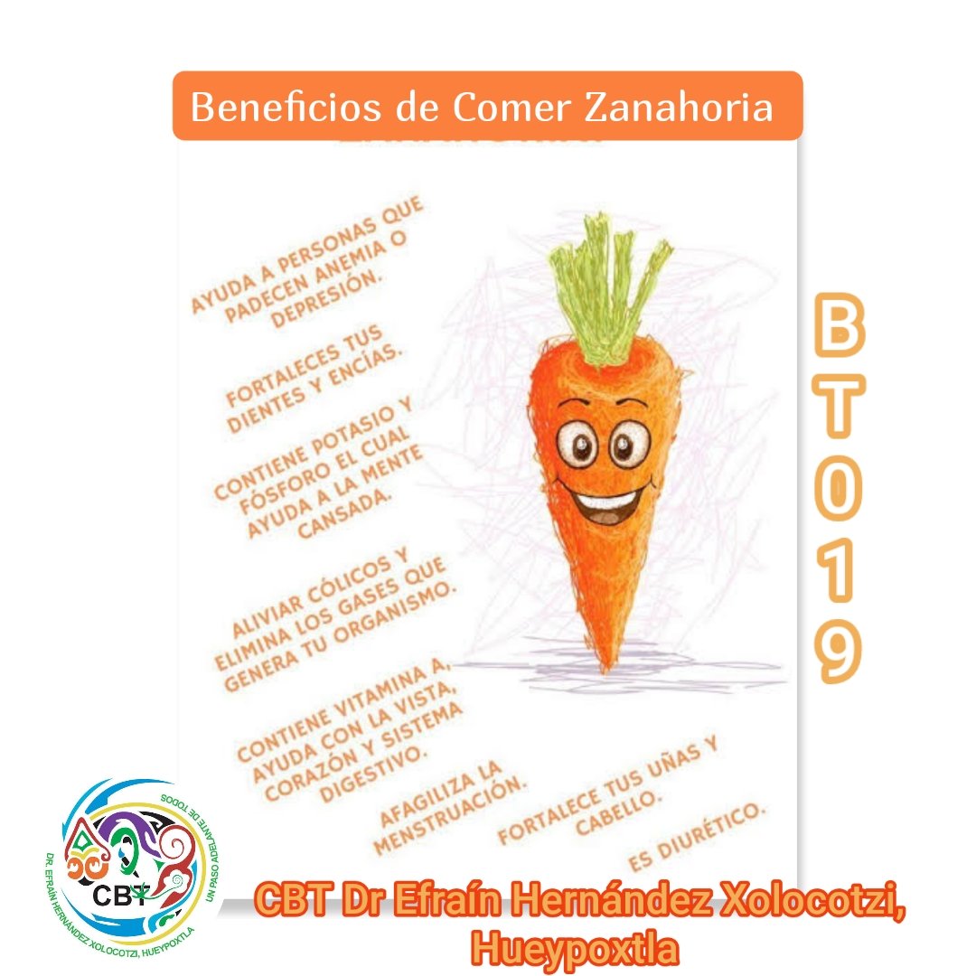 CBTHUEYPOXTLAH's tweet photo. @ZonaBT019 
El CBT Dr Efraín Hernández Xolocotzi, Hueypoxtla; te invita a conocer los múltiples beneficios en  antioxidantes y vitaminas  A y C, que contiene la Zanahoria 🥕😉. https://t.co/sVsEnvTpaQ