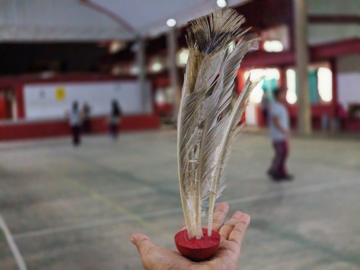 Isaac_dazher's tweet photo. La Indiaca o Peteca es una excelente oportunidad de bajo costo y fácil acceso para que los estudiantes desarrollen el pensamiento táctico y la toma de  decisiones rápidas durante el juego. https://t.co/Lr8rm6Ru2j