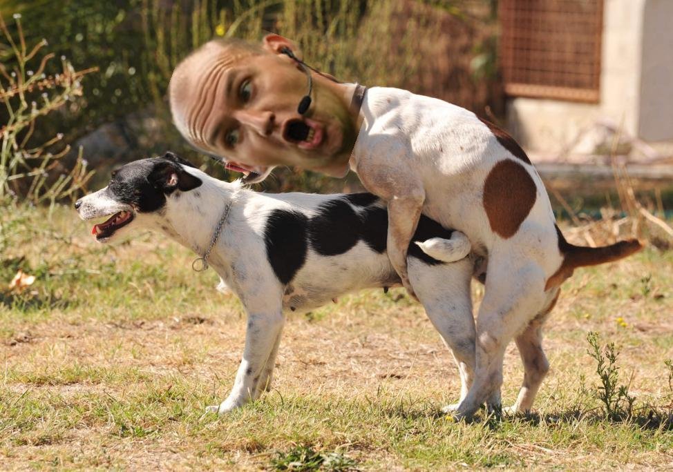 TrulyMadlyDerby tweet media