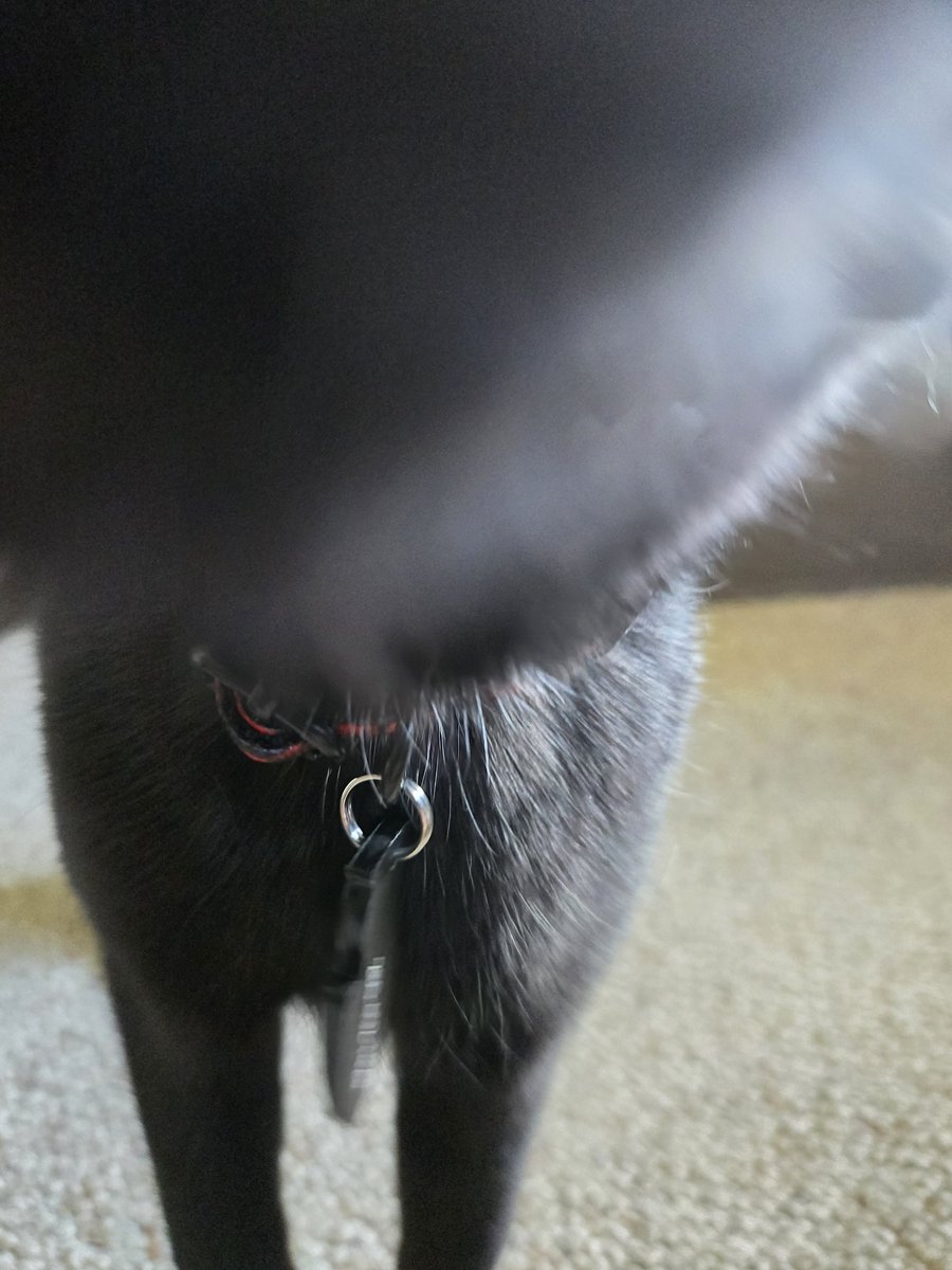 TakumiRyona's tweet photo. You just got #SNIFFED https://t.co/hmjbQNTHKQ