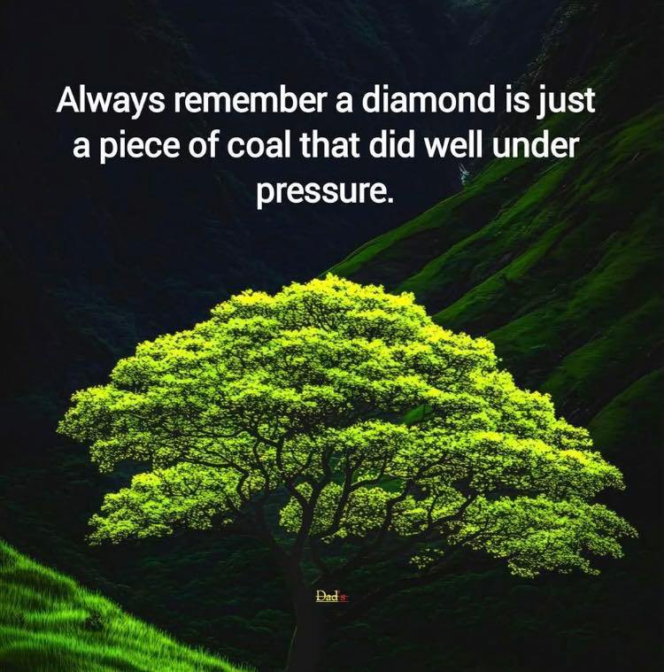 As a rancher, I’m in support of the tariffs for agriculture products. This will be a short term struggle but hopefully it will level the playing field and push for American Beef. As with anything, this causes pressure on consumers in the short term. Let’s save our ranches!