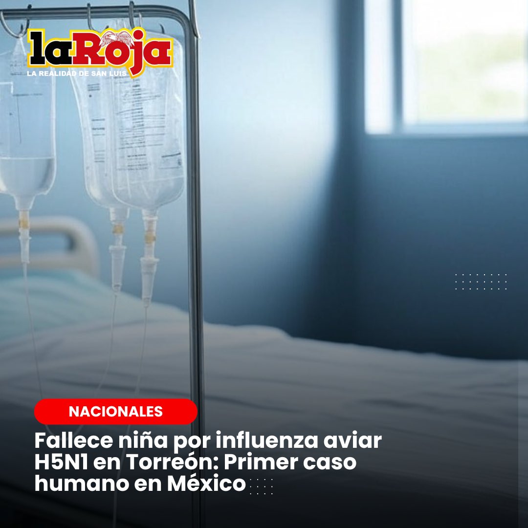 laroja_mx's tweet photo. 🚨 #LaRojaMx | Fallece niña por influenza aviar H5N1 en Torreón: Primer caso humano en México

Se ha confirmado el fallecimiento de una niña de 3 años, hospitalizada en la Clínica 71 del IMSS en Torreón, Coahuila, a causa de una infección por influenza aviar H5N1, considerado el primer caso humano de esta cepa en México.

Las autoridades de salud, tanto estatales como federales, han activado protocolos de contención y realizado investigaciones epidemiológicas para descartar contagios adicionales. Se han reforzado las medidas preventivas en criaderos y granjas avícolas de la región, dada la potencial transmisión zoonótica del virus. Además, se recomienda a la población tomar medidas básicas de higiene y estar alerta a síntomas de infección respiratoria severa.

#LaRojaMx #InfluenzaAviar #H5N1 #Torreón #SaludPúblicaq