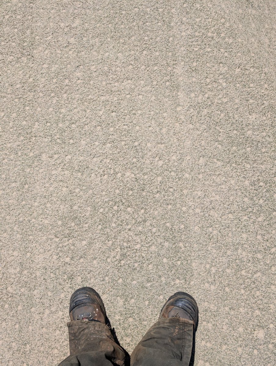 mark_foulks's tweet photo. Greens getting done!! https://t.co/gBahAZdl9k
