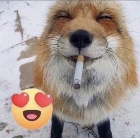 werrwolverz's tweet image. #tbt