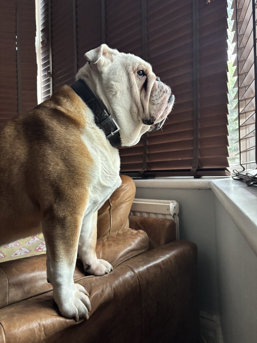 Steve Kay tweet media