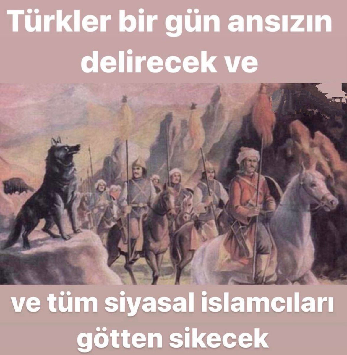 terseharf tweet picture