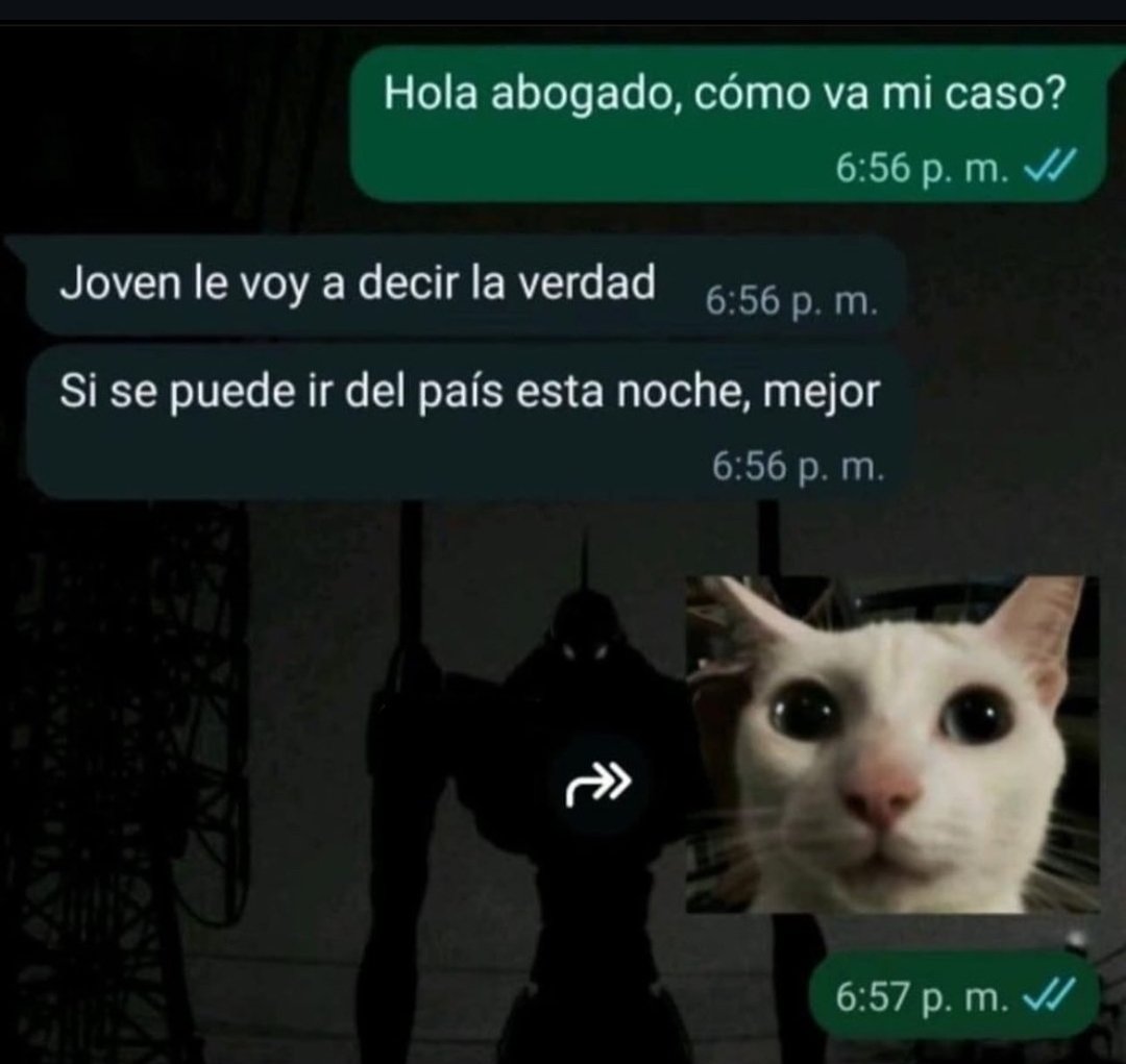 puercoalopecico's tweet photo. El abogado de Miare ahora mismo: https://t.co/PNHLmZG26E