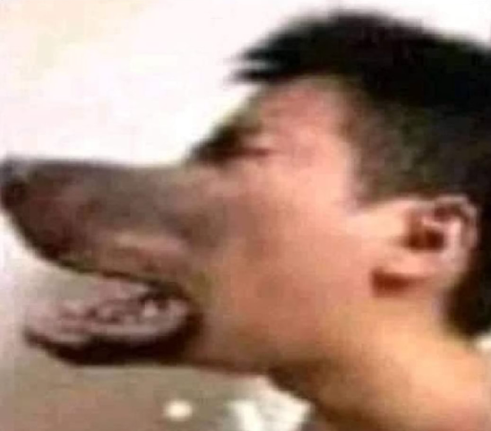 Após 10 mil anos em extinção, Lobo TERRÍVEL volta à vida e anuncia: "Voltei"