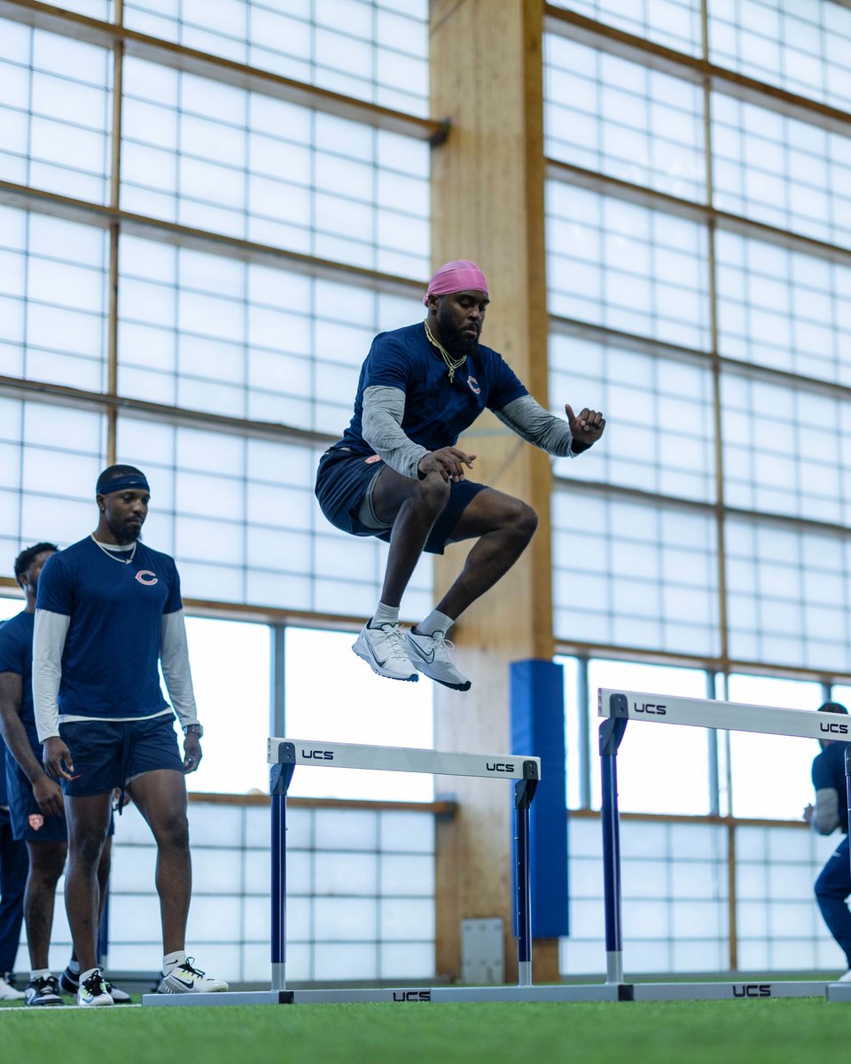 Chicago Bears tweet media