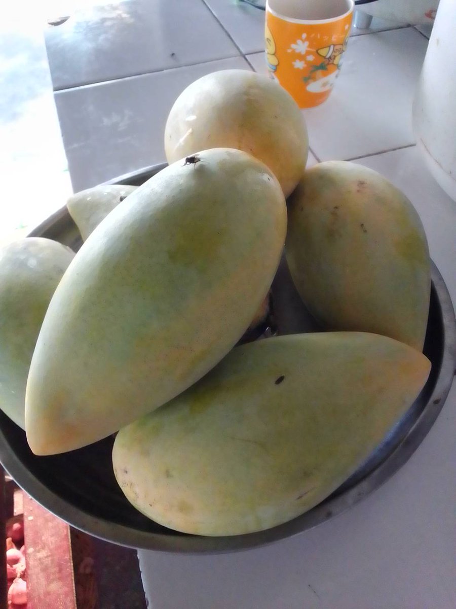NXubl22038's tweet photo. Good morning everyone #ripemango https://t.co/AhEXNeRJZ3