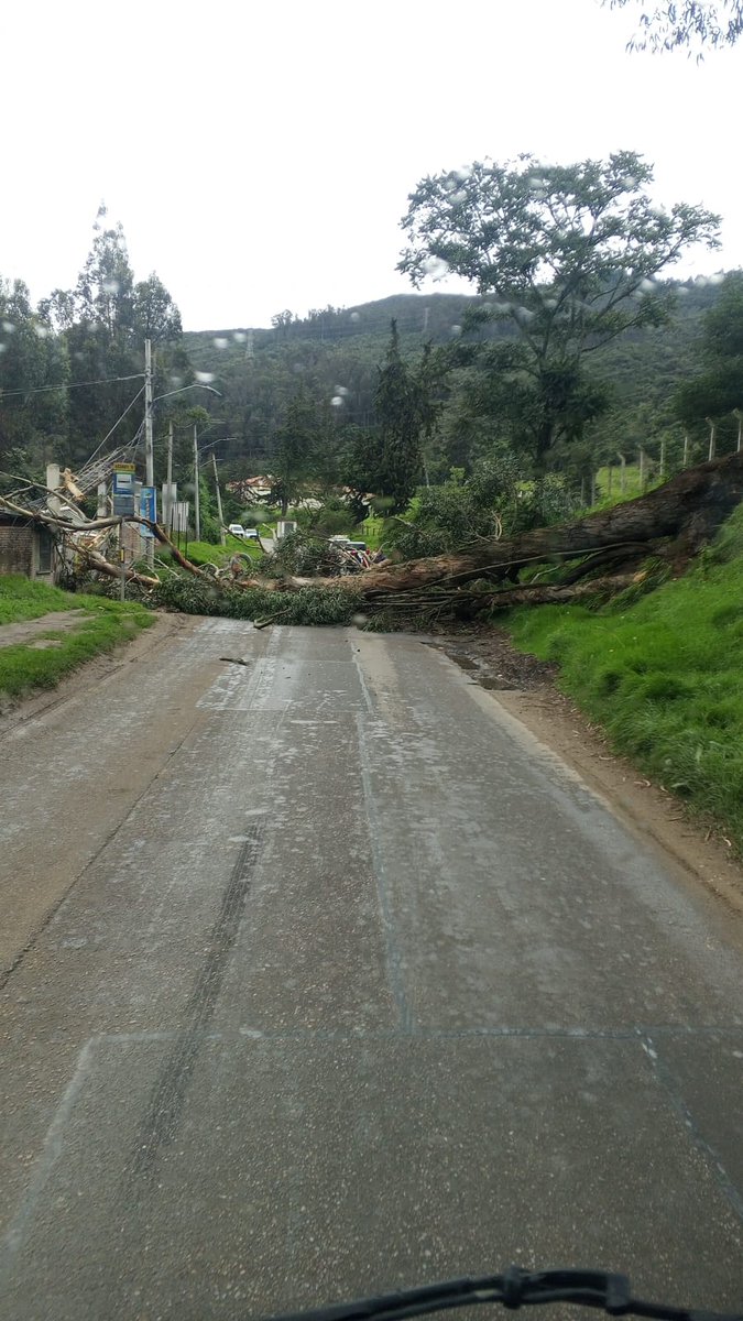 marluhza's tweet photo. Hoy 1:30pm @PoliciaBogota @Bogota @alcaldiausaquen https://t.co/Q13d72XsgL