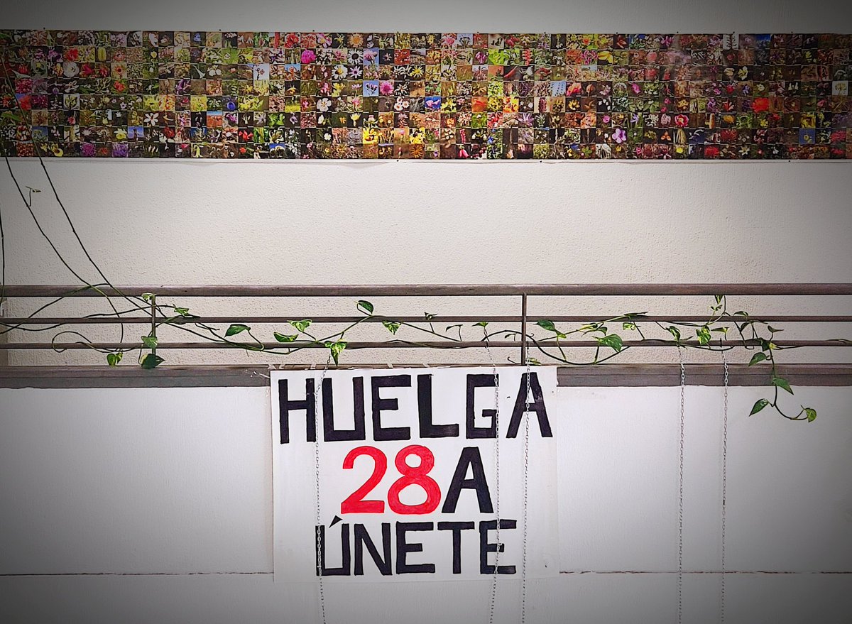 La infrafinanciación de la universidad pública es INSOSTENIBLE. ¡¡Por una universidad pública de calidad!!📢📢📢🔴HUELGA el 28A🔴 Foto: desde biológicas de la <a href="/unicomplutense/">Complutense</a> con amor (y hastío) <a href="/UCMporlaPublica/">UCM por la Pública</a> <a href="/Menoslectivas/">Asamblea Menos Lectivas #SalvemosLaPública</a>